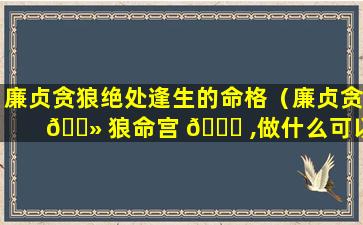 廉贞贪狼绝处逢生的命格（廉贞贪 🌻 狼命宫 🐋 ,做什么可以化解）